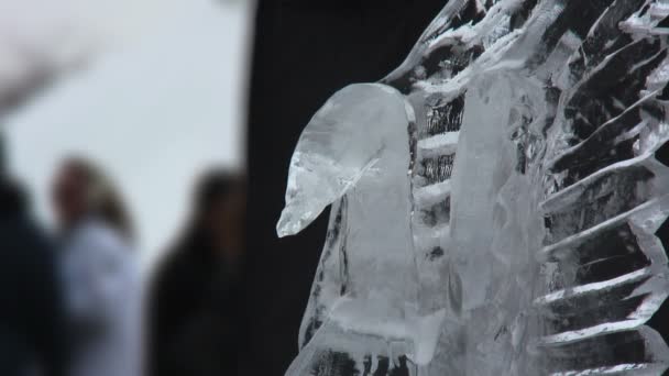 Eisschwan-Skulptur — Stockvideo