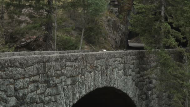 Ponte de montanha — Vídeo de Stock