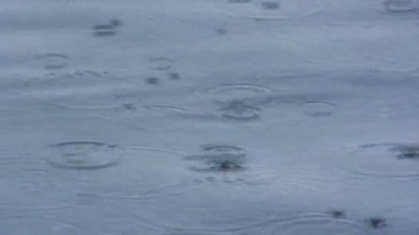 Речной дождь — стоковое видео