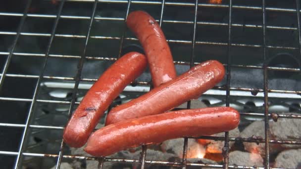 Hotdogs para churrasco — Vídeo de Stock