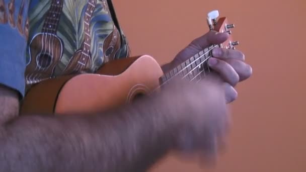 Giocatore di ukulele — Video Stock