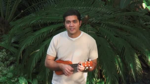 Tropische ukulele — Stockvideo