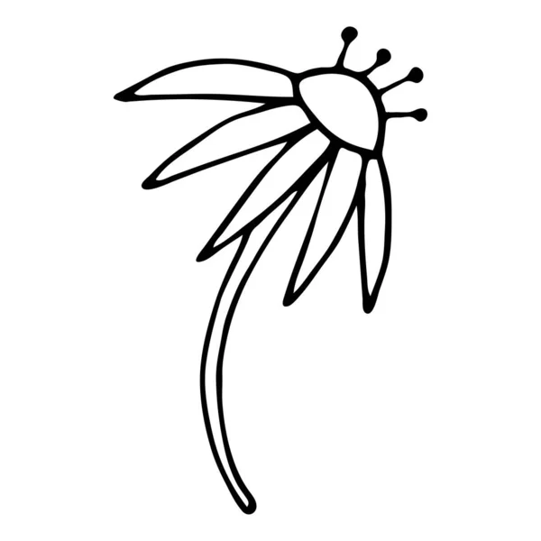 Fleur de gribouillage abstraite. contour dessiné à la main d'une fleur de fantaisie. — Image vectorielle