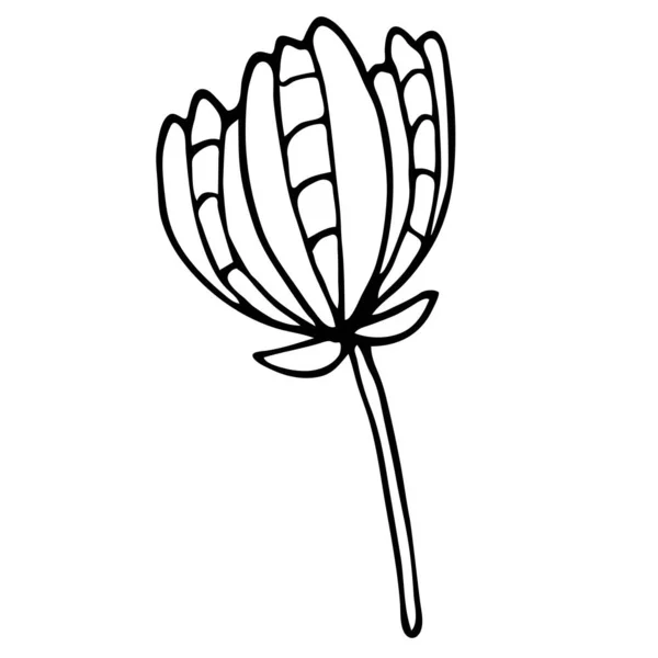 Abstrakte Doodle-Blume. Handgezeichnete Umrisse einer Fantasieblume. — Stockvektor