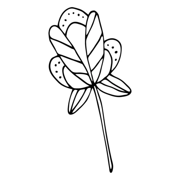 Abstrakte Doodle-Blume. Handgezeichnete Umrisse einer Fantasieblume. — Stockvektor