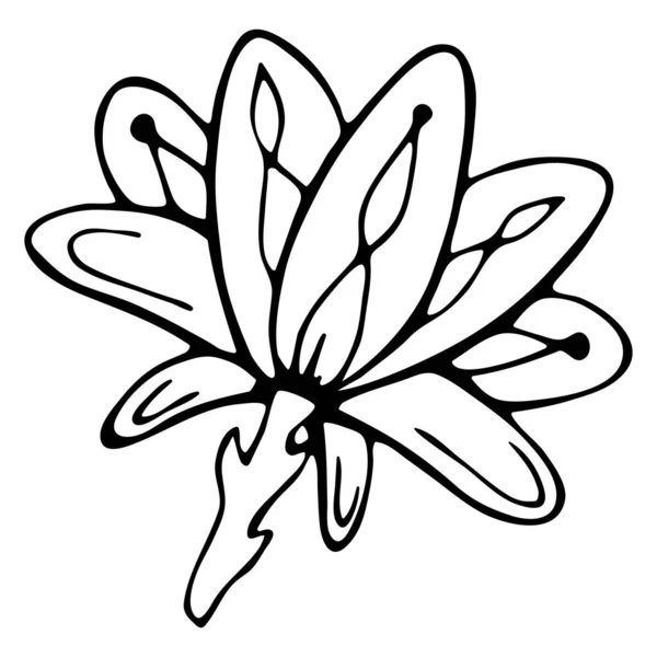 Flor de garabato abstracta. Esquema dibujado a mano de una flor de fantasía. — Archivo Imágenes Vectoriales