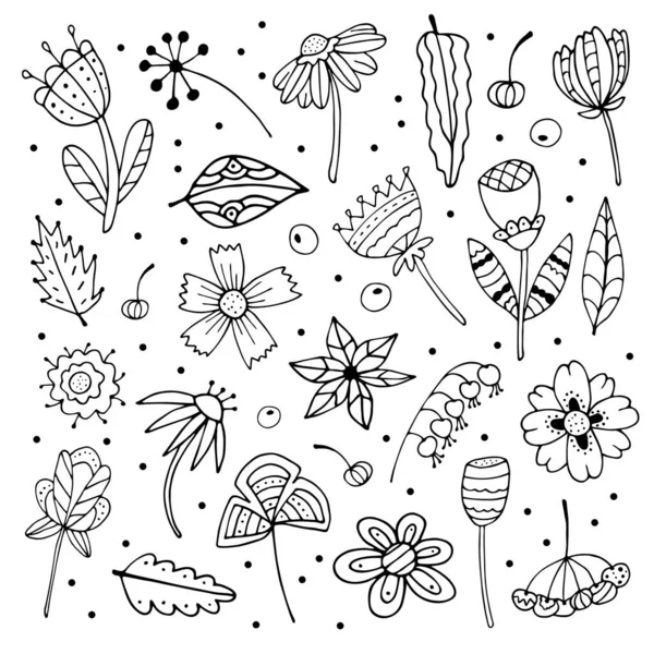 Abstract doodle bloemen en bladeren collectie. Handgetekende vectorcontour van chique botanische elementen. — Stockvector