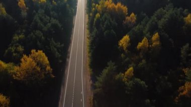 Hava manzaralı asfalt bir yol, ormanlar, kırsal alanda inanılmaz derecede güzel bir sonbahar sabahı. Altın sonbaharın güzel sarı ve yeşil renkleri. İnsansız hava aracı kamerası yavaşça yükseliyor
