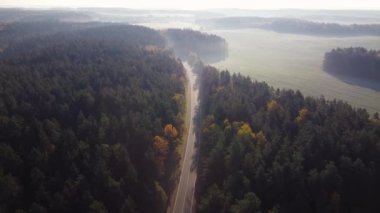 Kırsal kesimdeki asfalt bir yolun havadan görünüşü, ormanlar, son derece güzel sisli sonbahar sabahında tarlalar. Altın sonbaharın güzel sarı ve yeşil renkleri. İnsansız hava aracının geri hareketi