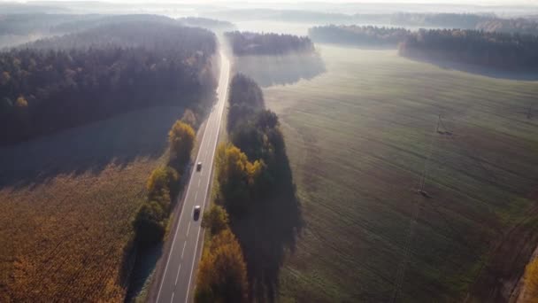 田舎で2台の車が信じられないほど美しい霧の秋の朝に向かって移動するアスファルトの道路の空中ビュー 黄金の秋の美しい黄色の緑の色 ドローンビュー — ストック動画