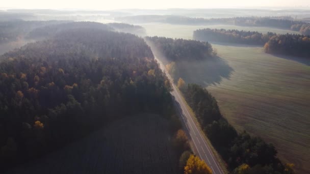 Vista Aérea Camino Asfalto Campo Bosques Campos Lago Increíblemente Hermosa — Vídeo de stock