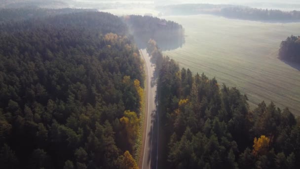田舎のアスファルトの道路の空中ビューは 車が信じられないほど美しい霧の秋の朝に向かって移動します 黄金の秋の美しい黄色の緑の色 ドローンカメラとトラッキングを下げる — ストック動画