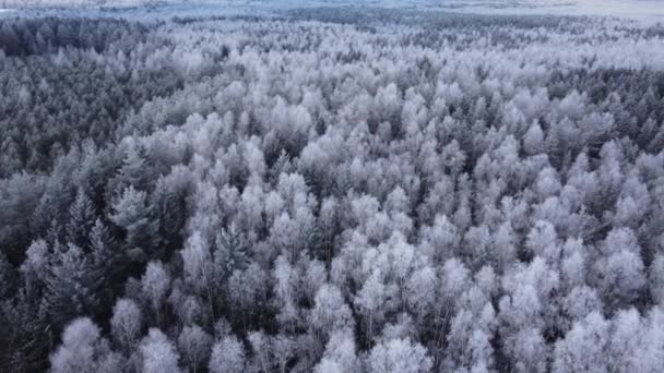 Inverno incrível natureza floresta drone paisagem. — Vídeo de Stock