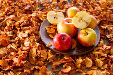 kurutulmuş organik elma, dilimlenmiş, gri bir masa arka planında ve taze elmalar.