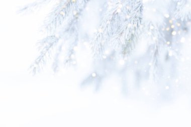 Noel ağacının karlı dalları ve düşen karların arka planı