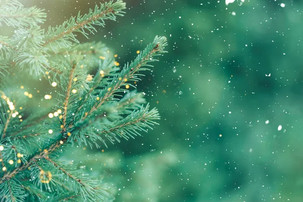 Zelená Větev Vánočního Stromu Girlandu Pozadí Padajícího Sněhu — Stock fotografie