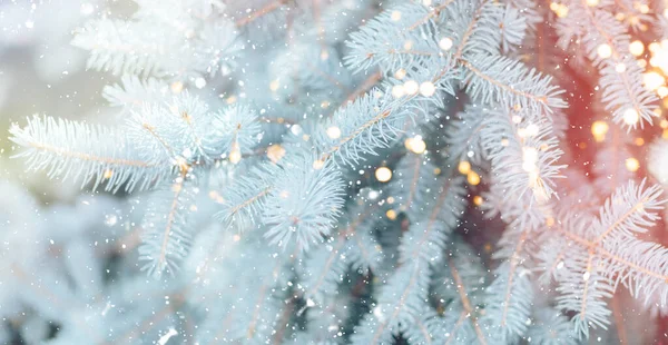 Snowy tak van de kerstboom tegen de achtergrond van vallende sneeuw en lichten van slingers — Stockfoto