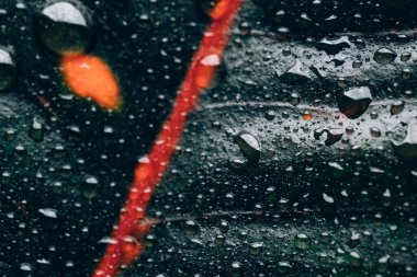 Su kırmızı çizgili koyu yeşil yaprağa damlıyor.