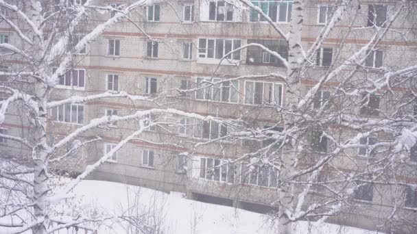 Sneeuwval op de achtergrond van witte bakstenen huis — Stockvideo
