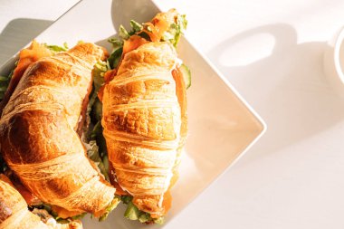 Ayçöreği olan beyaz tabak beyaz masada duruyor.