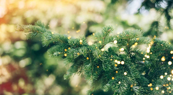 圣诞树枝头，花环上闪烁着金光 — 图库照片