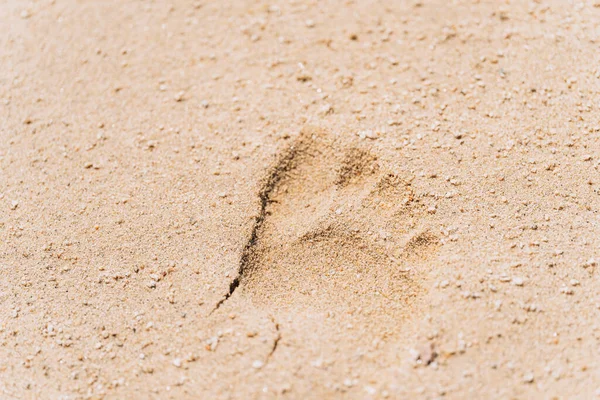Human Footprint Left Sand — 스톡 사진
