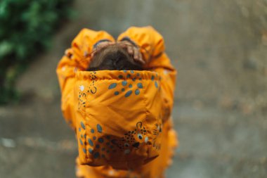 Sarı yağmurluklu kız yağmurun altında duruyor..