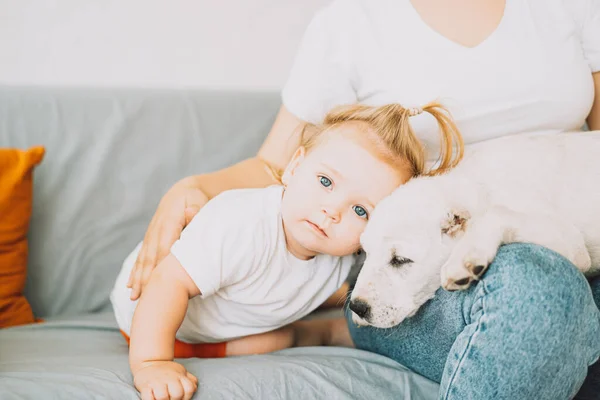 Girl Hugging Puppy Little Girl — Stok fotoğraf