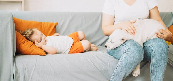 Girl Sitting Sofa Strokes Puppy Her Lap Next Little Girl — Stok fotoğraf