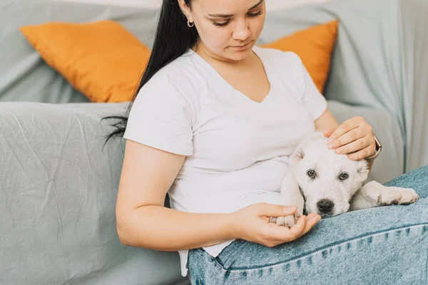 Alabai Puppy Lies Lap Girl — Foto Stock