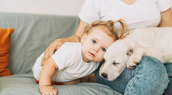 Girl Hugging Puppy Little Girl — Stok fotoğraf