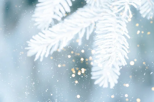 Árvore Natal Livre Com Neve Luzes Fadas — Fotografia de Stock