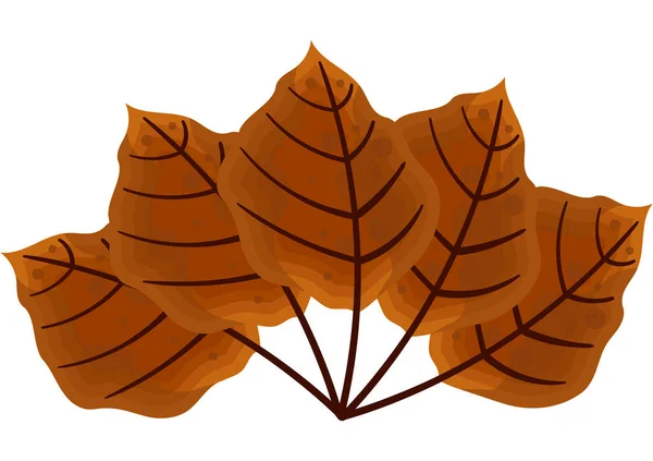 Ilustrace Hnědých Listů Podzimní Tématikou — Stockový vektor