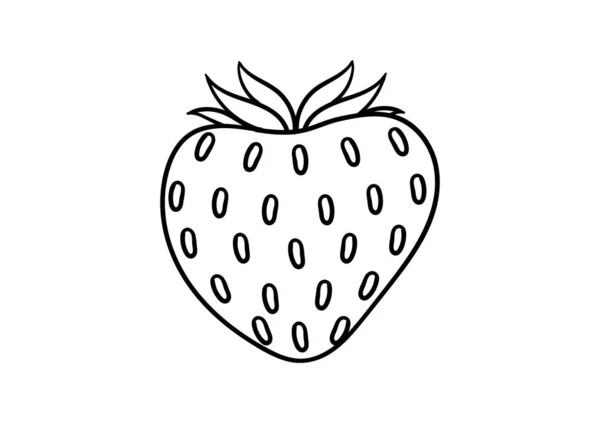 Hand Drawn Illustration Strawberries — Stock Vector