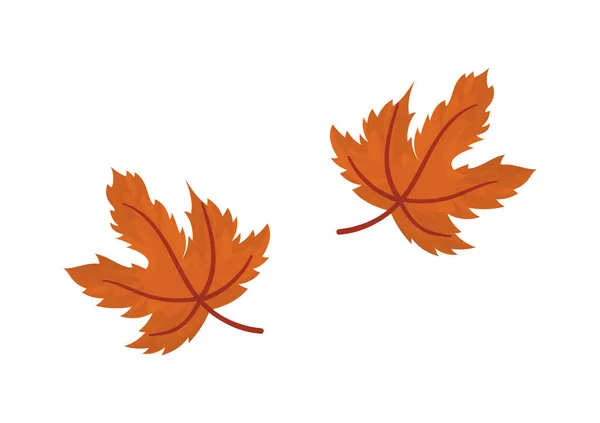 Illustration Brown Leaves Autumn Theme — 스톡 벡터