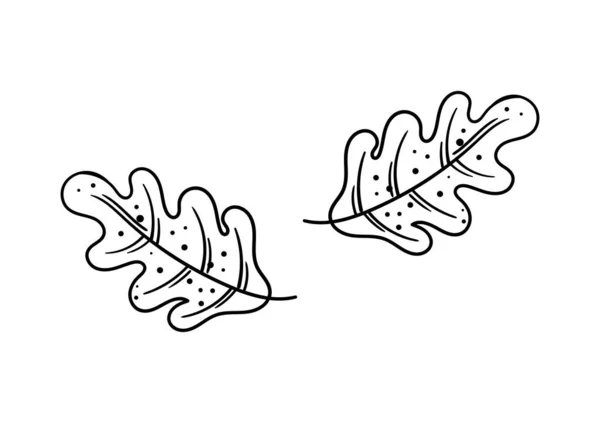 秋をテーマに手描きの葉6 — ストックベクタ