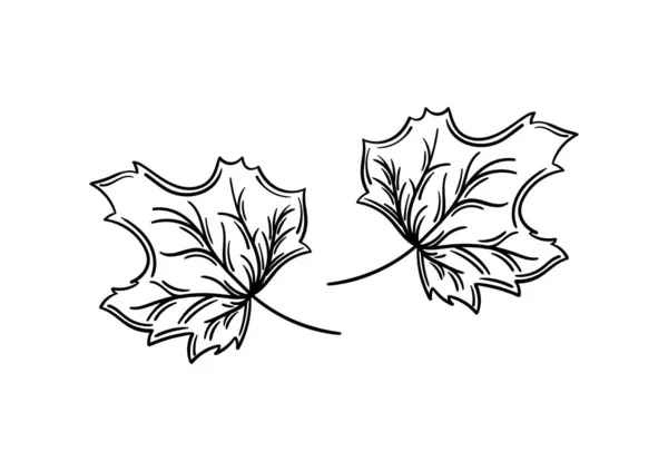 Hand Drawn Leaf Autumn Theme — стоковый вектор