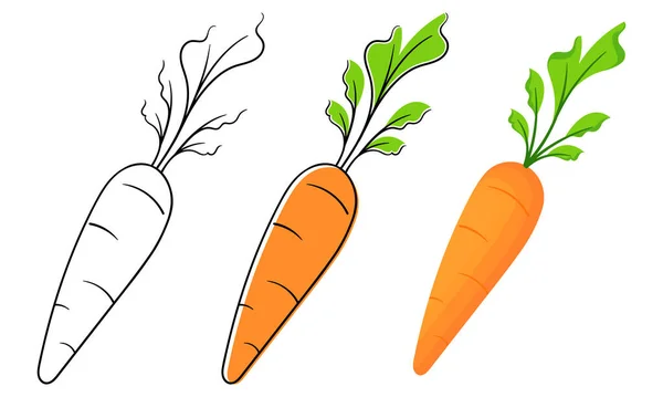 Carrots Three Kinds Designs — Archivo Imágenes Vectoriales