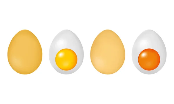 Illustration Chicken Eggs —  Vetores de Stock