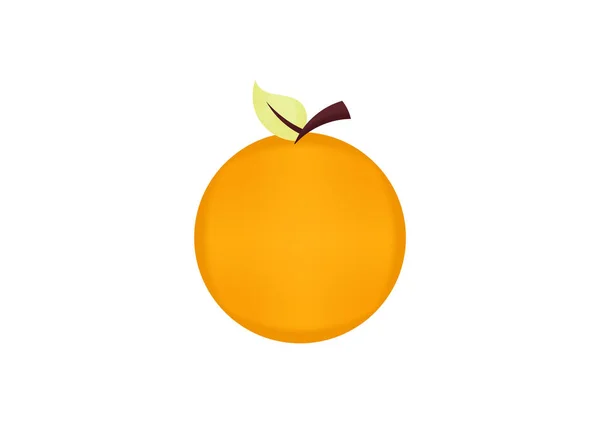 Illustration Citrus Fruit Mesh Technique — Stock Vector