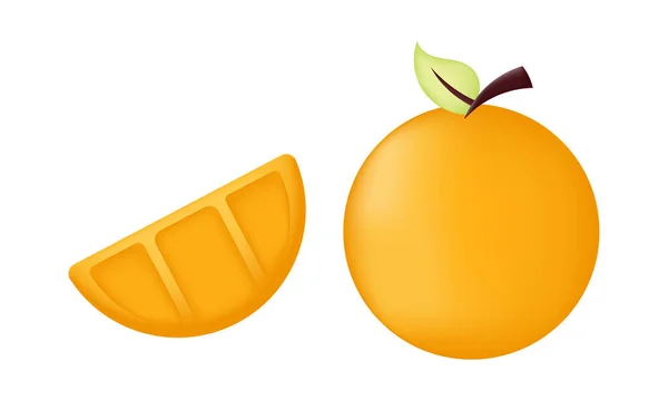 用啮合技术说明柑橘类水果 — 图库矢量图片