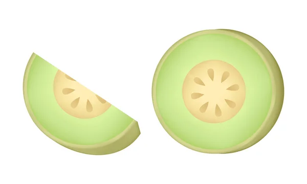 Ilustración Melón Con Técnica Malla — Vector de stock