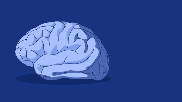 Cerebro Humano Sobre Fondo Azul Ilustración Vectorial Plantilla Para Banner — Vector de stock