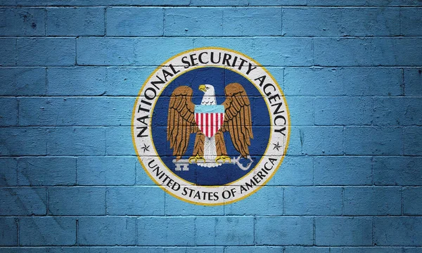 Bandiera Dell Nsa Agenzia Sicurezza Nazionale Dipinta Muro Mattoni — Foto Stock