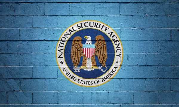 Drapeau Nsa National Security Agency Peint Sur Mur Briques — Photo