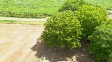 Vendee 'deki Bazoges-en-Pareds' de tarih öncesi Kuzenin Mezarı 'nın gerisine doğru giden çekim..