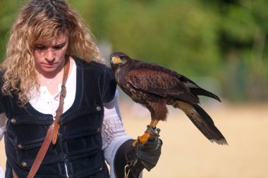 Luzarches, France - October 12 2019: Falconer with her falcon during the annual Medieval festival. In autumn, in many medieval towns in France, festivals are held where people can disguise in knights, monks, farmers... of the medieval period.