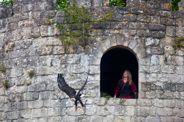 Luzarches France October 2019 Falconer Her Bald Eagle Annual Medieval — Stok fotoğraf