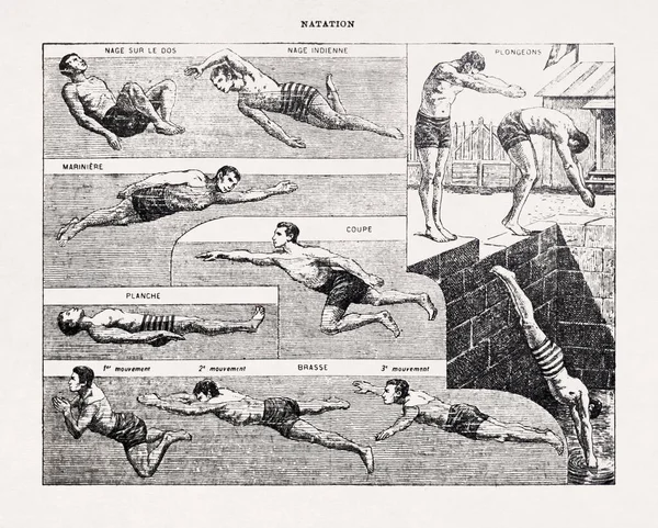 Illustration Printed Late 19Th Century French Dictionary Depicting Some Swimming — 스톡 사진