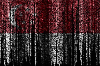 Singapur bayrağı bilgisayarın ikili kodlarında tepeden düşüyor ve kayboluyor..